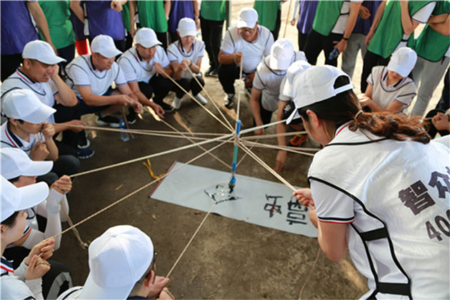 ����˹wns885566(�й�)���޹�˾-�ٷ���վ