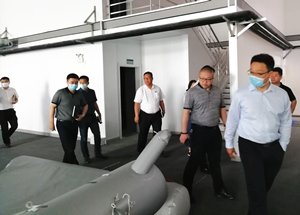 ����˹wns885566(�й�)���޹�˾-�ٷ���վ